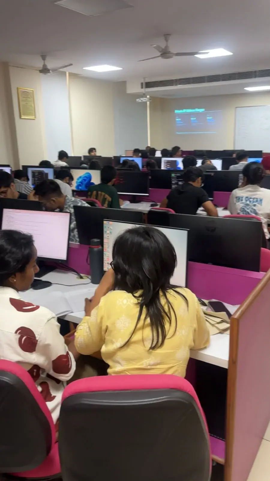 Students working on computers in a large lab session